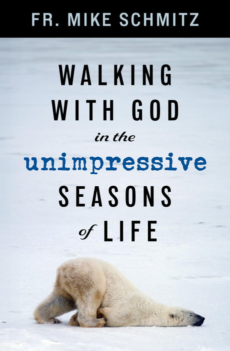 Walking with God in the Unimpressive Seasons of Life -- Mike Schmitz, Paperback