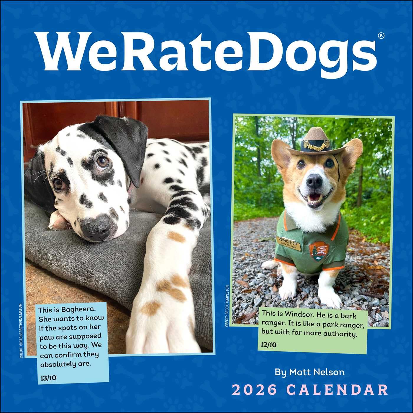 Weratedogs 2026 Wall Calendar by Nelson, Matt