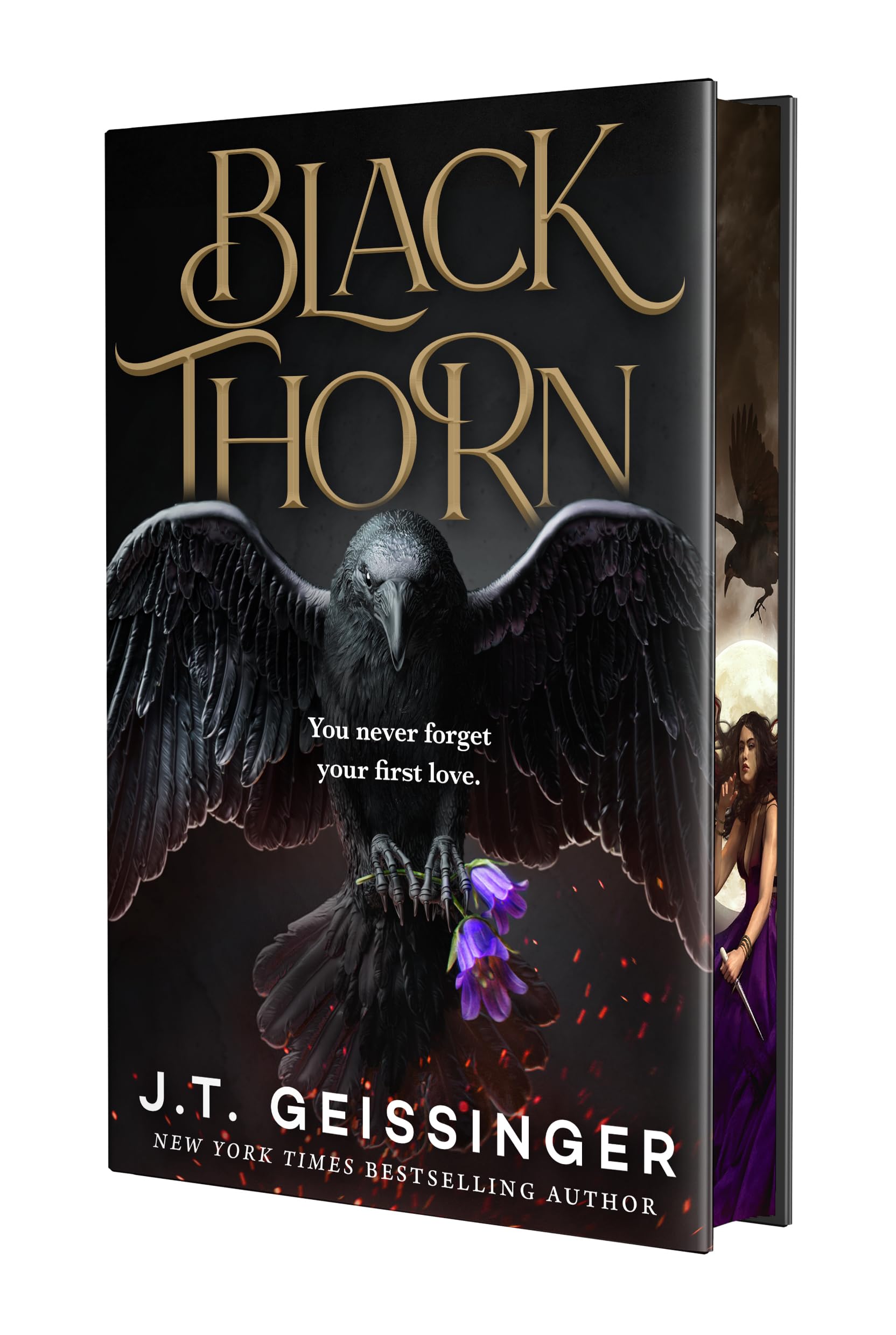 Blackthorn by Geissinger, J. T.