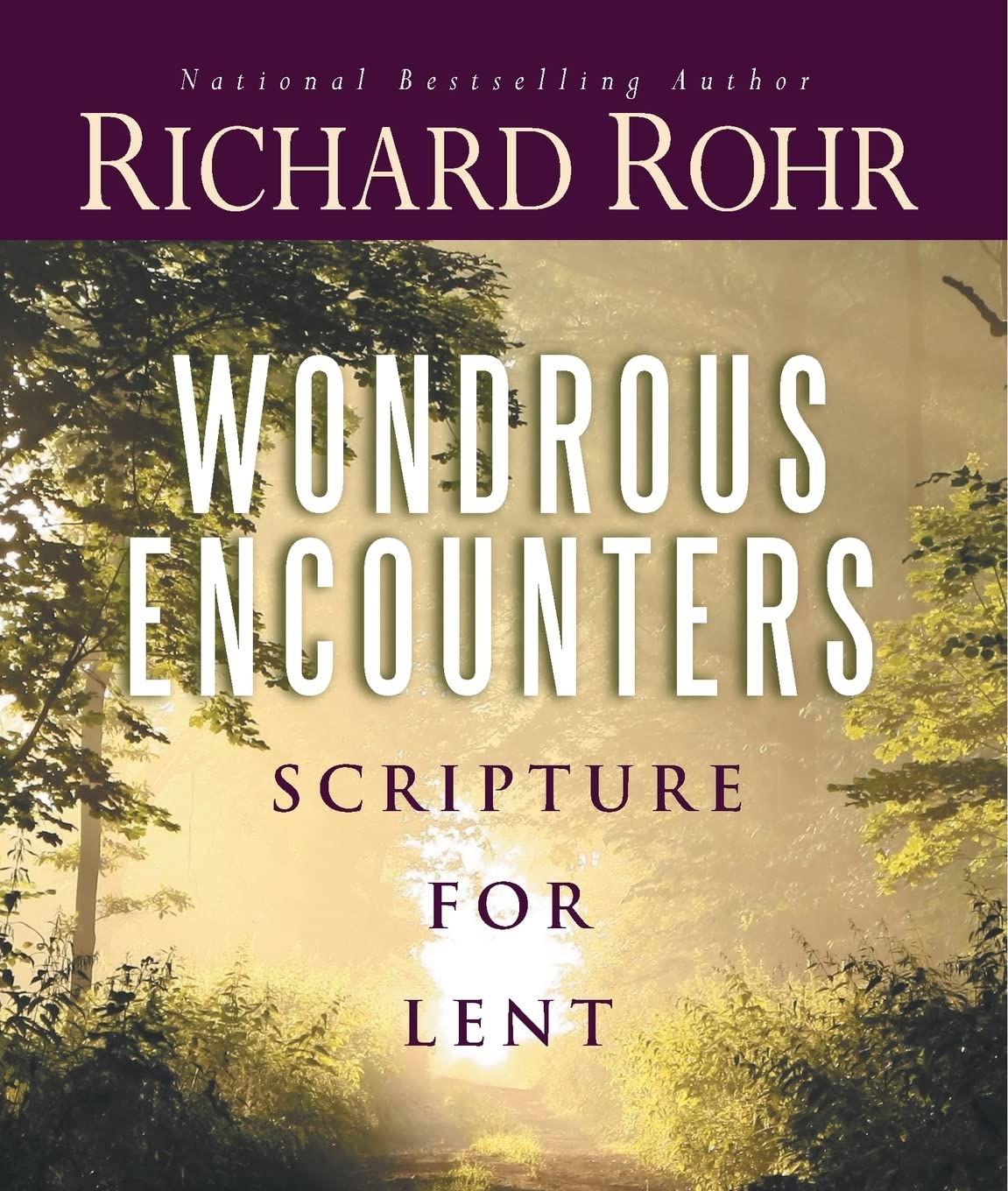 Wondrous Encounters: Scripture for Lent by Rohr, Richard