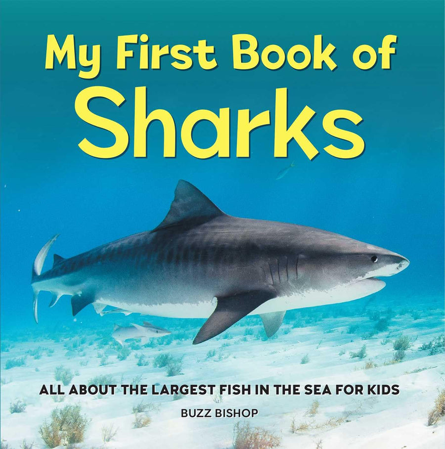 My First Book of Sharks: All about the Largest Fish in the Sea for Kids -- Buzz Bishop, Paperback