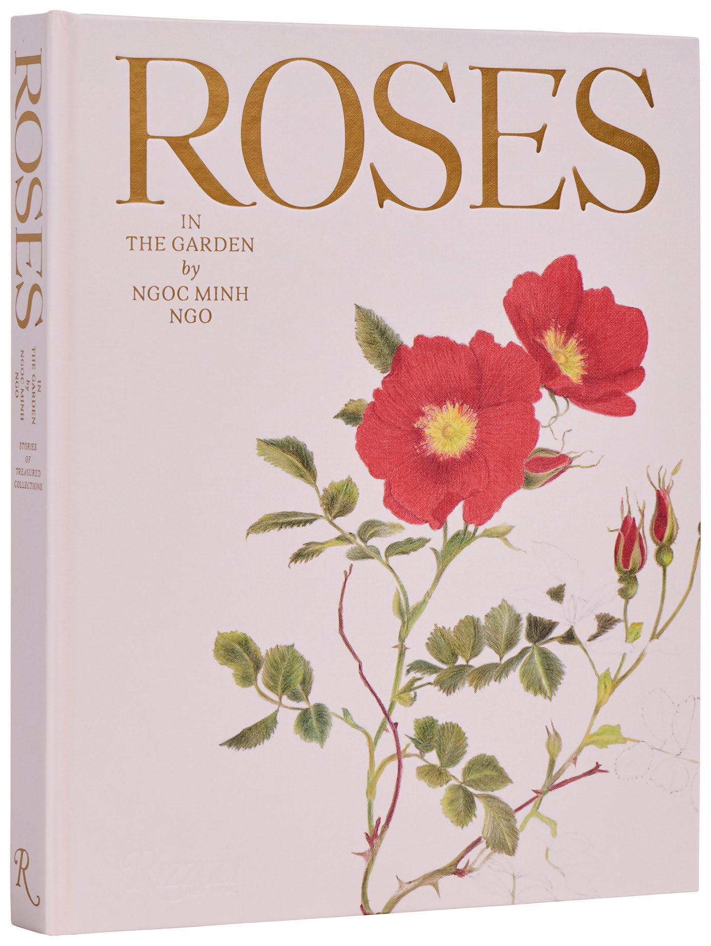 Roses in the Garden -- Ngoc Minh Ngo