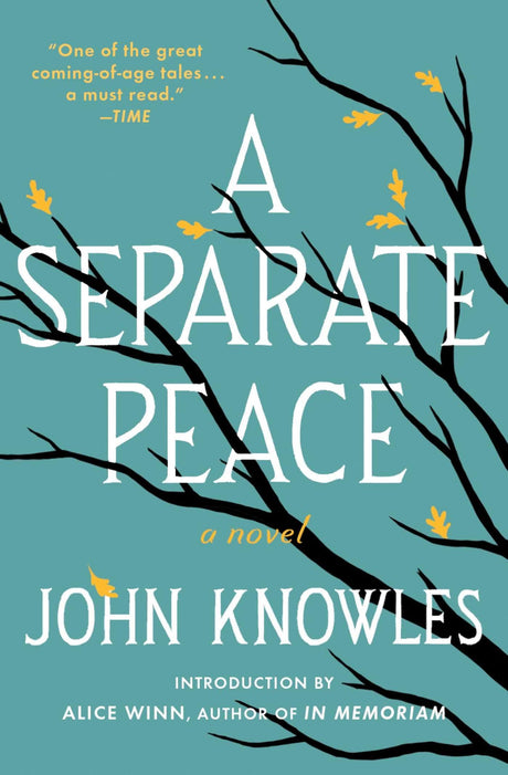 A Separate Peace -- John Knowles, Paperback