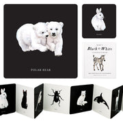 Baby's Black and White Contrast Book: High-Contrast Art for Visual Stimulation at Tummy Time by Paige, Tabitha