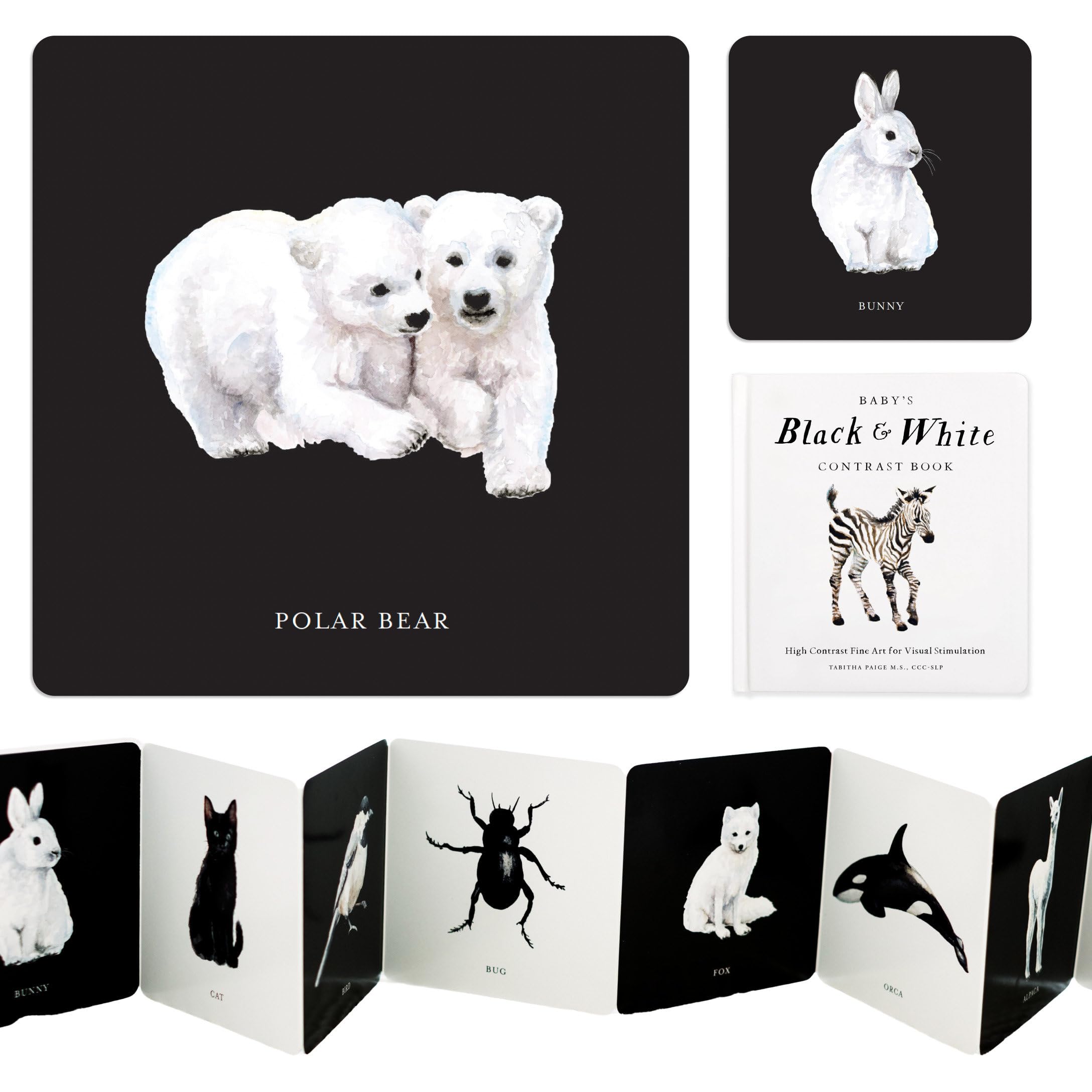 Baby's Black and White Contrast Book: High-Contrast Art for Visual Stimulation at Tummy Time by Paige, Tabitha