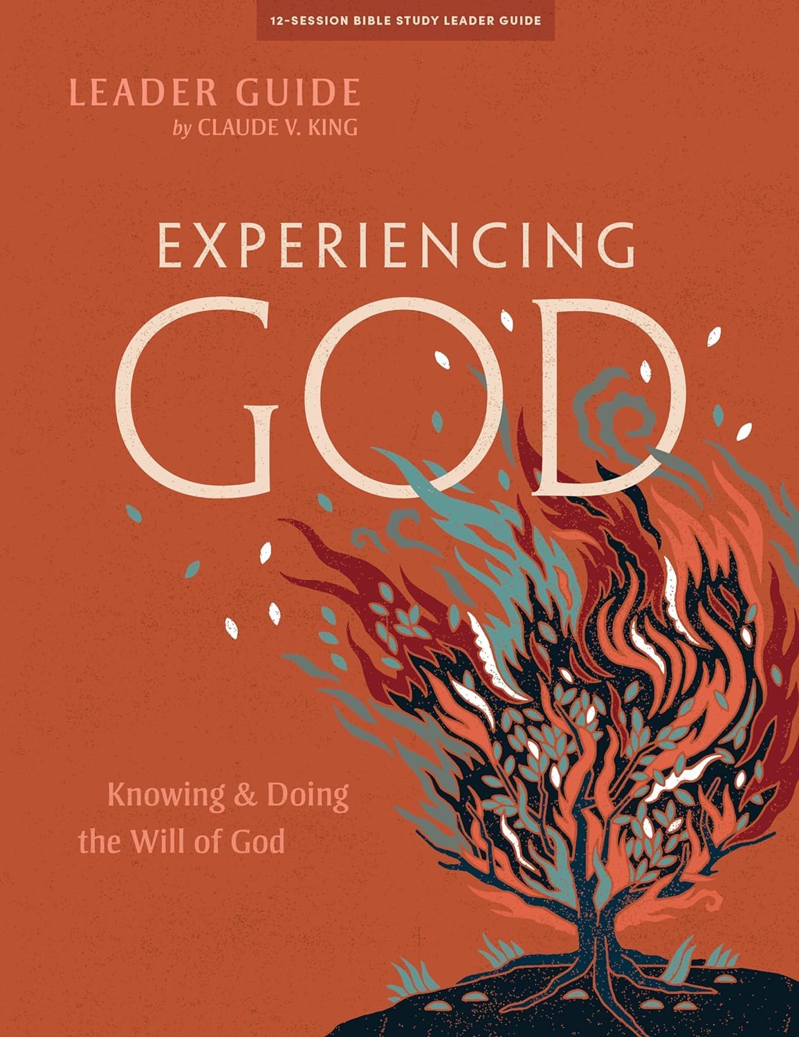 Experiencing God - Leader Guide by King, Claude V.