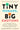 Tiny Humans, Big Emotions: How to Navigate Tantrums, Meltdowns, and Defiance to Raise Emotionally Intelligent Children by Campbell, Alyssa Blask