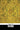 The Yellow Wallpaper -- Charlotte Perkins Gilman, Paperback