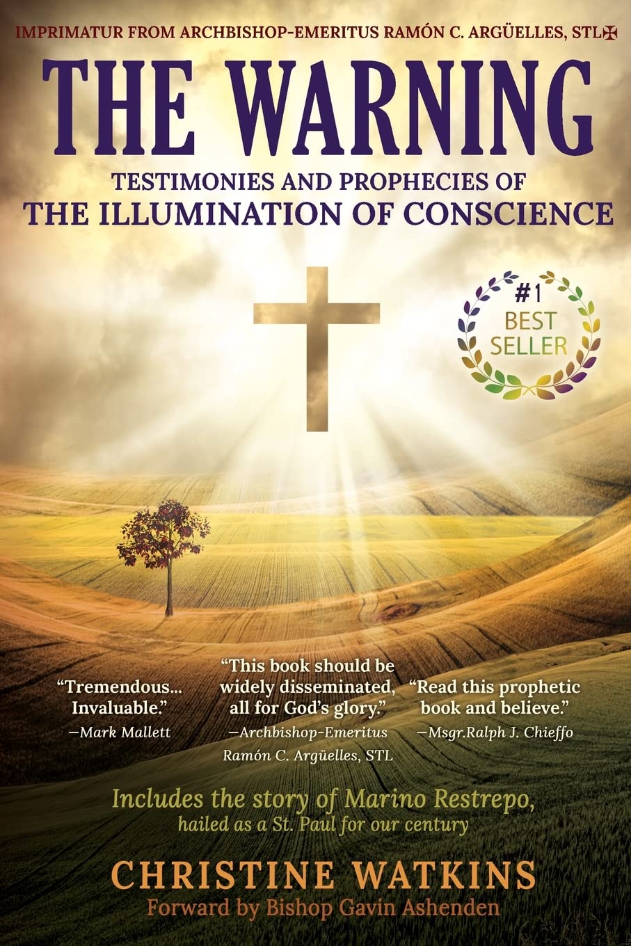 The Warning: Testimonies and Prophecies of the Illumination of Conscience by Watkins, Christine