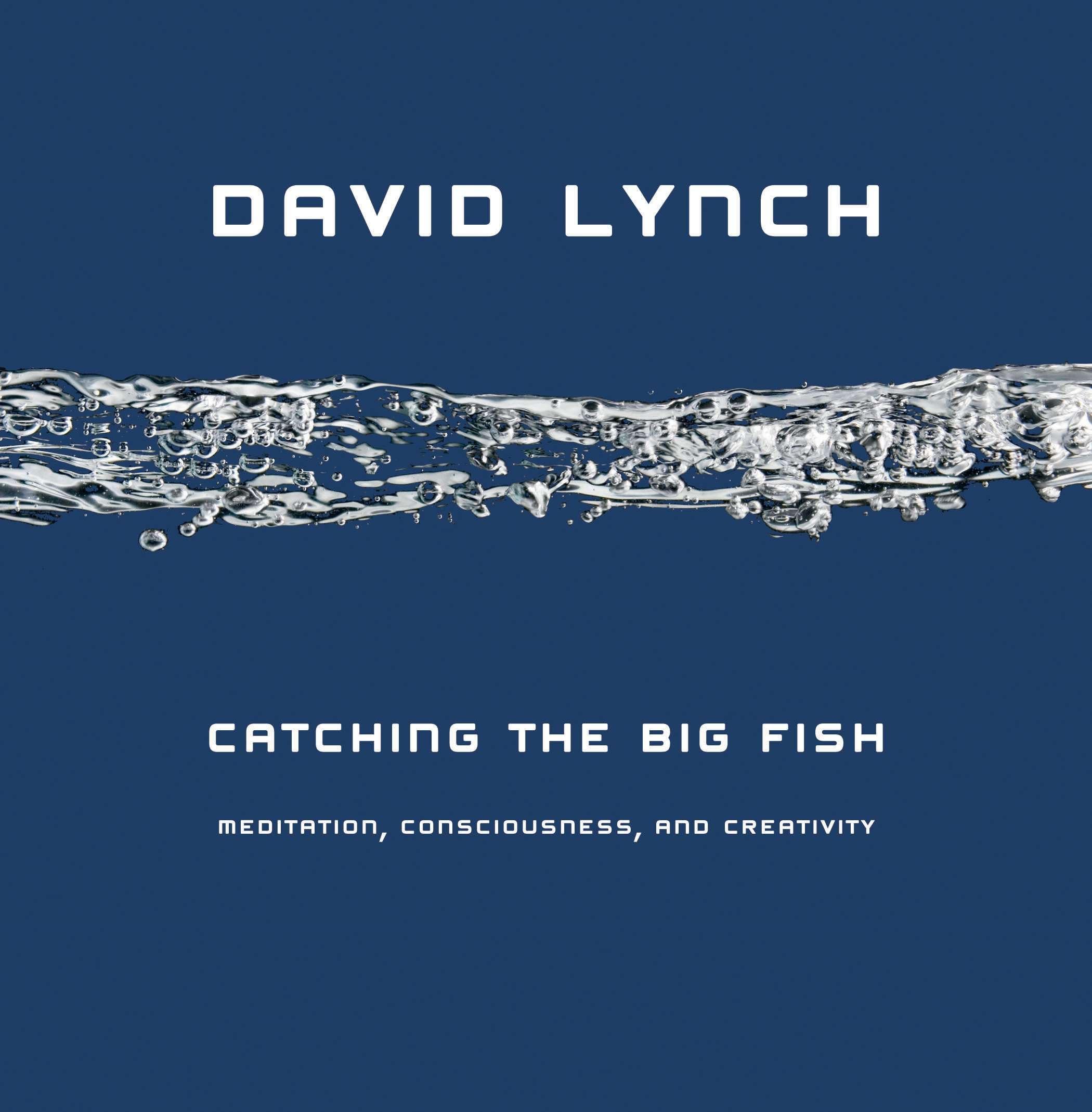 Catching the Big Fish: Meditation, Consciousness, and Creativity by Lynch, David
