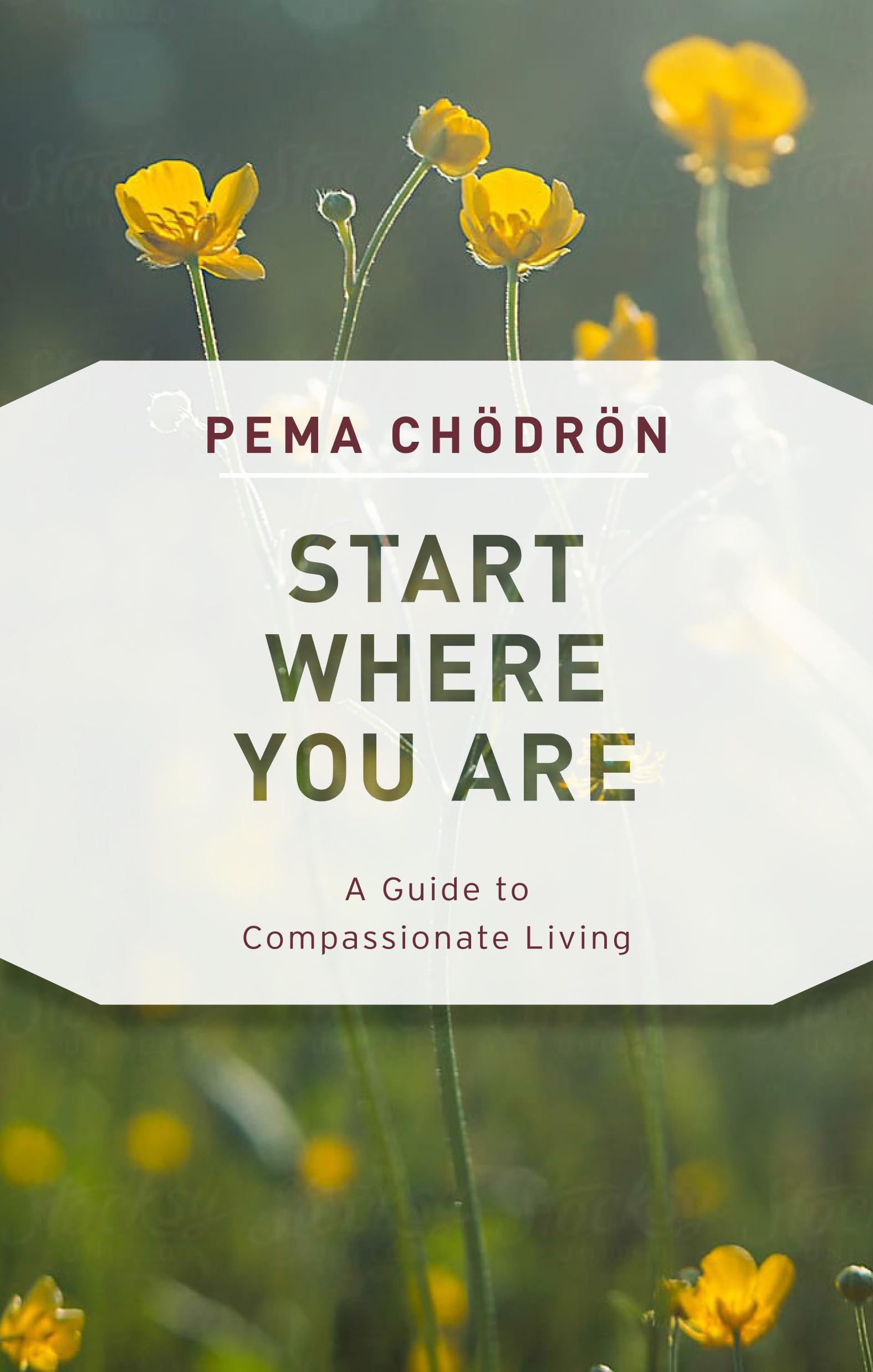 Start Where You Are: A Guide to Compassionate Living by Chödrön, Pema