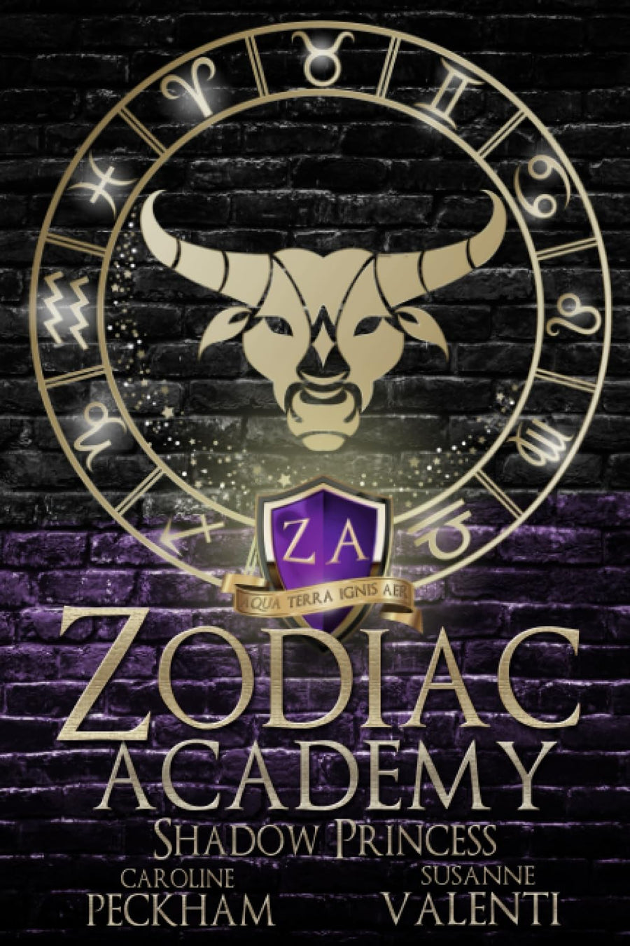 Zodiac Academy 4: Shadow Princess -- Caroline Peckham, Paperback
