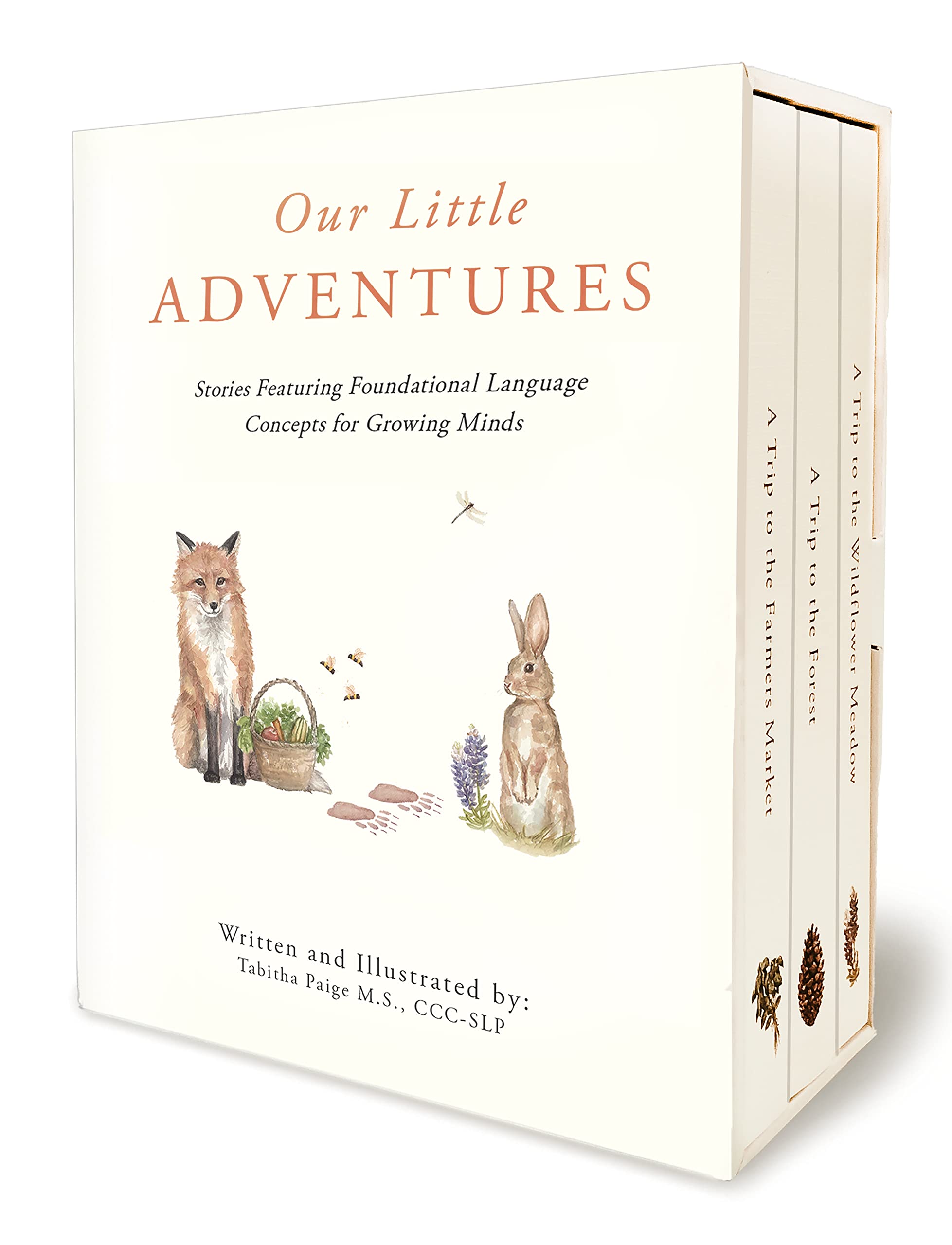 Our Little Adventures: Stories Featuring Foundational Language Concepts for Growing Minds by Paige, Tabitha