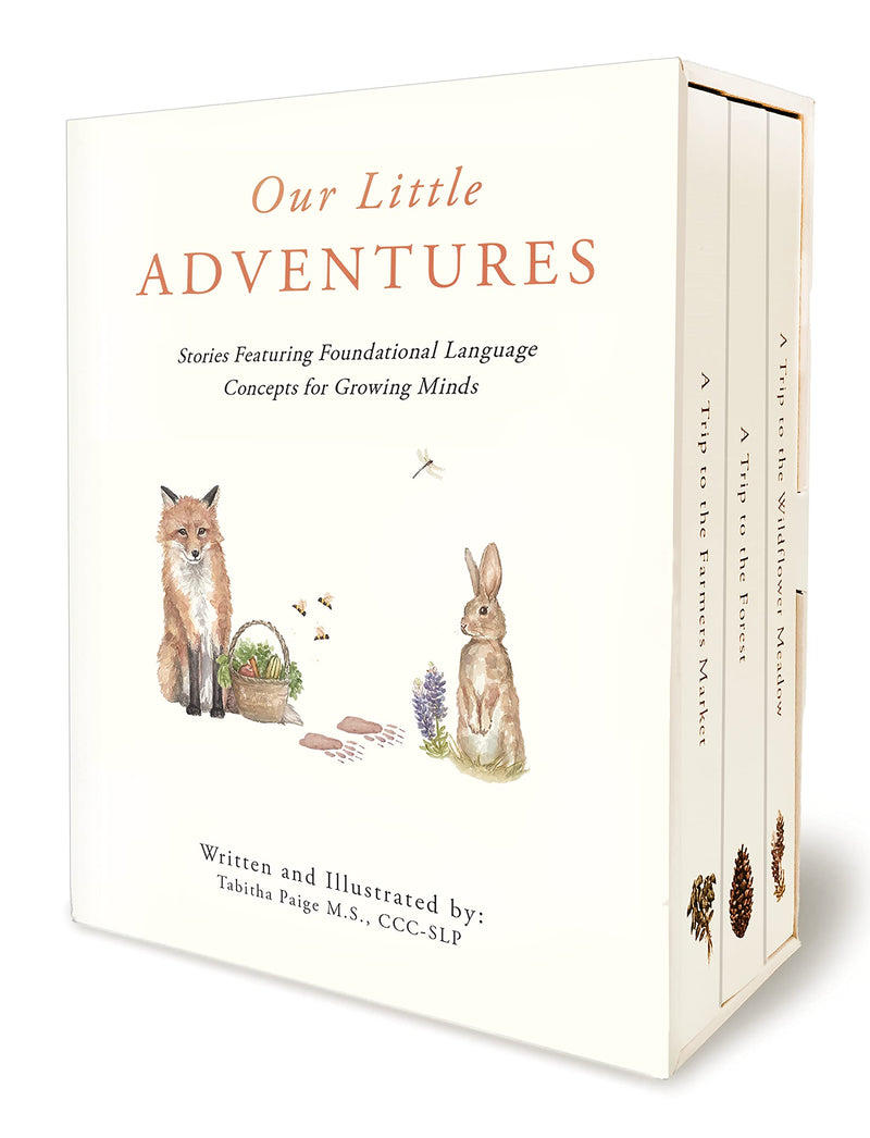 Our Little Adventures: Stories Featuring Foundational Language Concepts for Growing Minds by Paige, Tabitha
