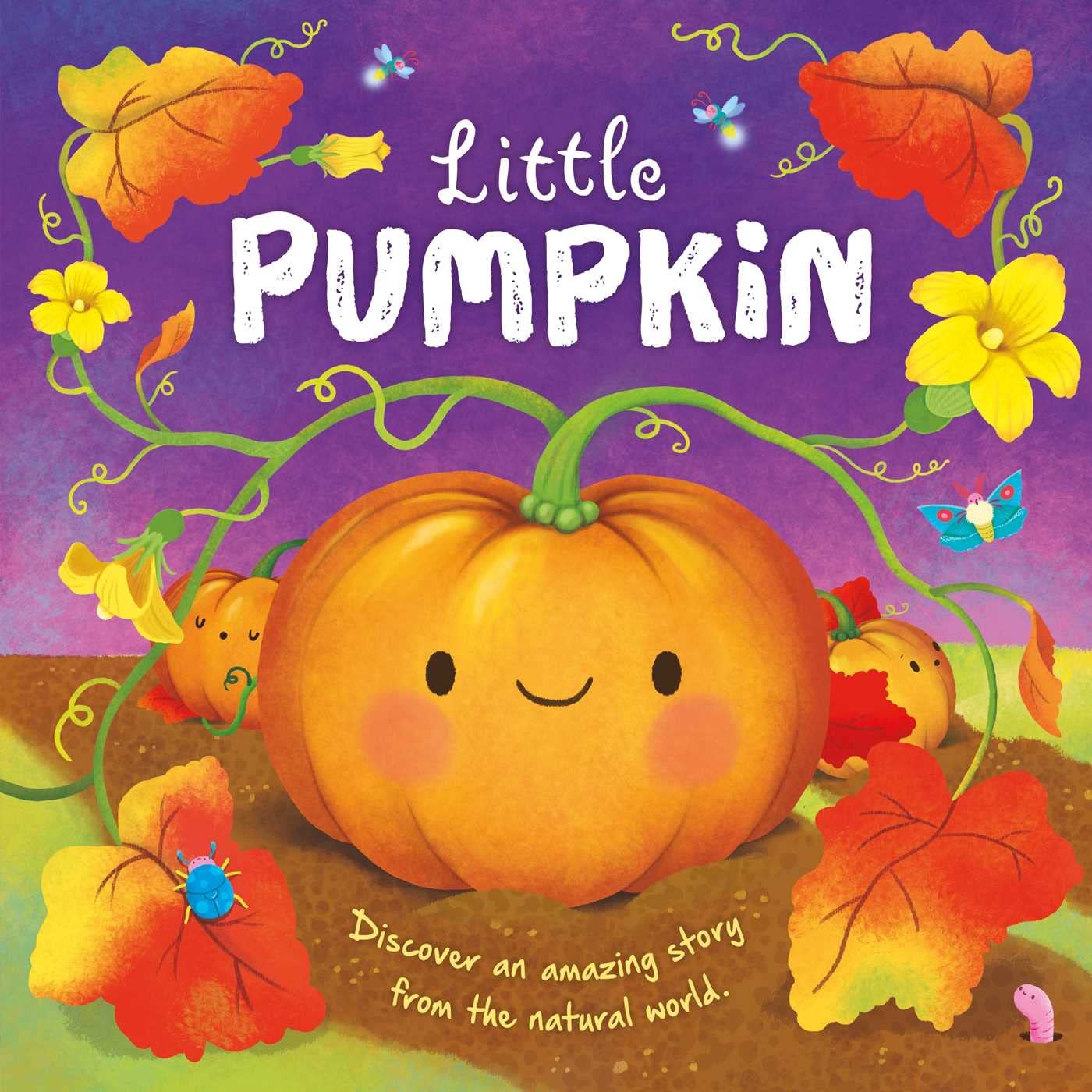Nature Stories: Little Pumpkin: Padded Board Book by Igloobooks