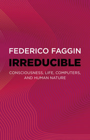 Irreducible: Consciousness, Life, Computers, and Human Nature by Faggin, Federico