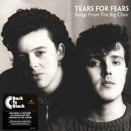 Songs From The Big Chair, Tears For Fears, LP