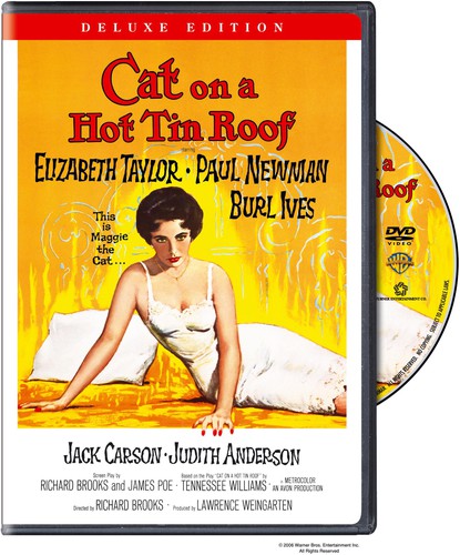 Cat On A Hot Tin Roof