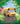 Little Yellow Bus by Guendelsberger, Erin