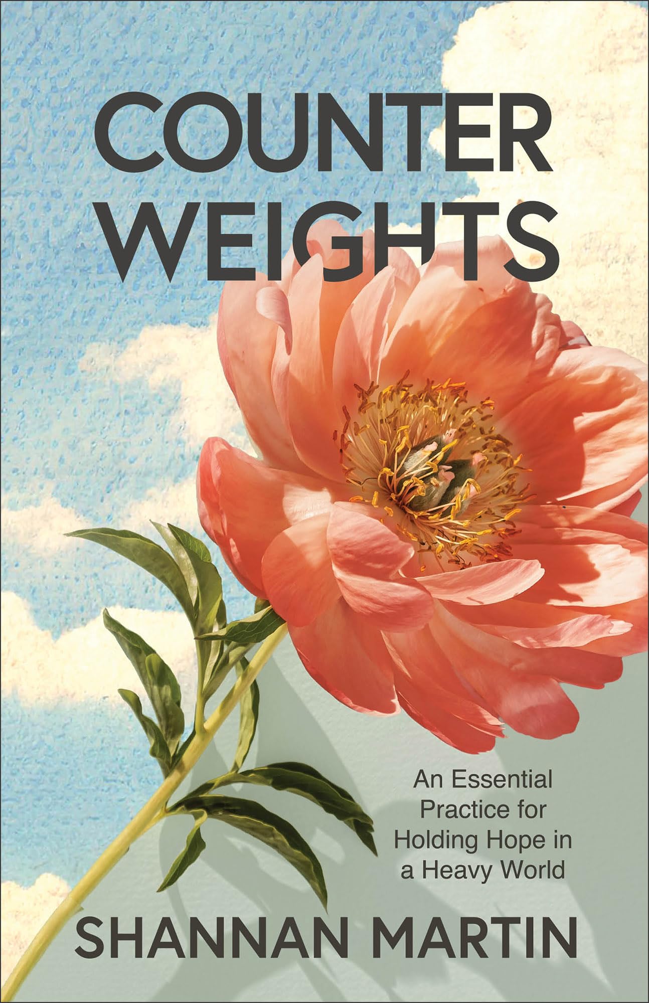 Counterweights: An Essential Practice for Holding Hope in a Heavy World by Martin, Shannan