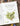 Sketching Nature: The Beginner's Guide to Keeping a Botanical Sketchbook -- Dianne Sutherland