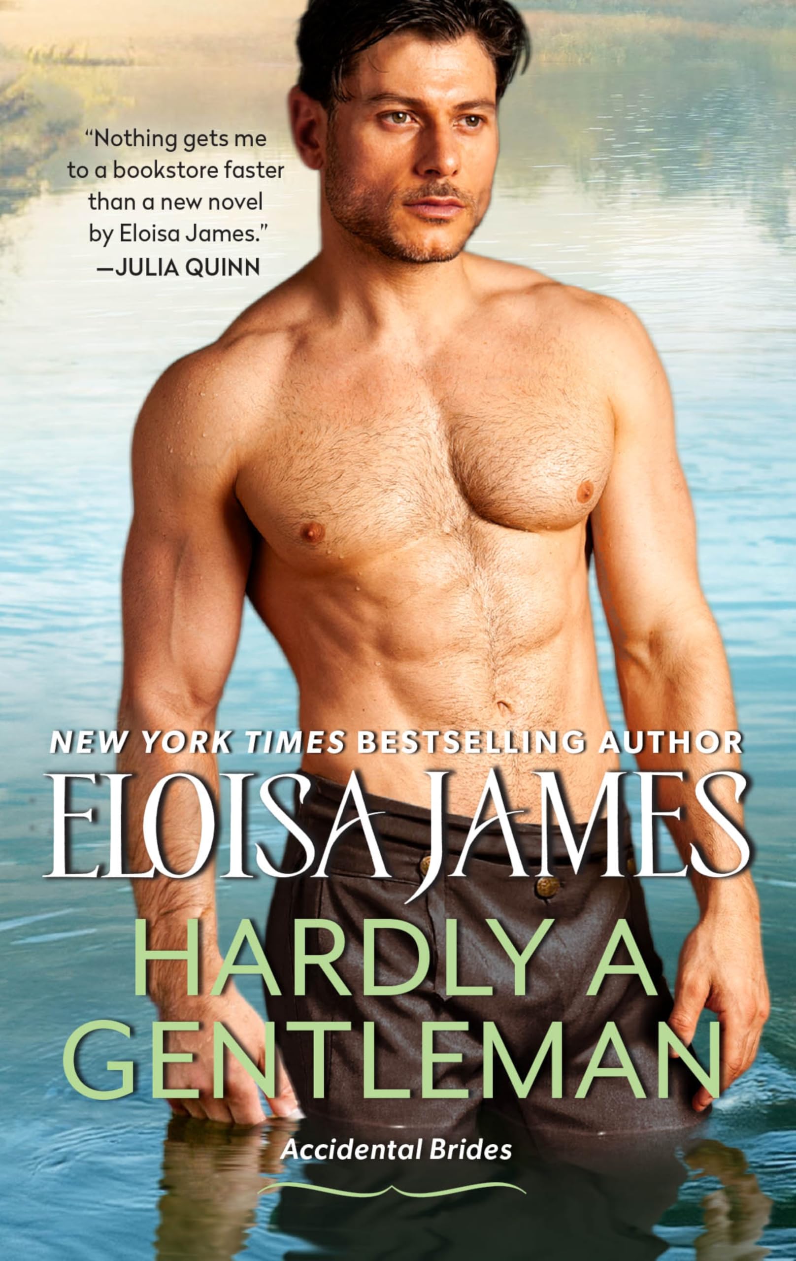 Hardly a Gentleman by James, Eloisa