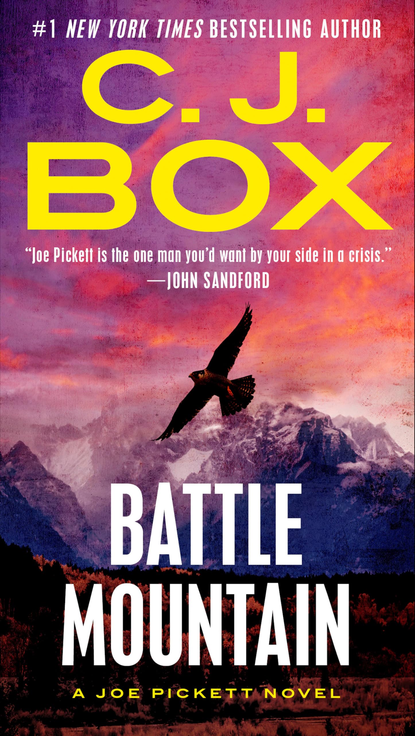 Battle Mountain by Box, C. J.