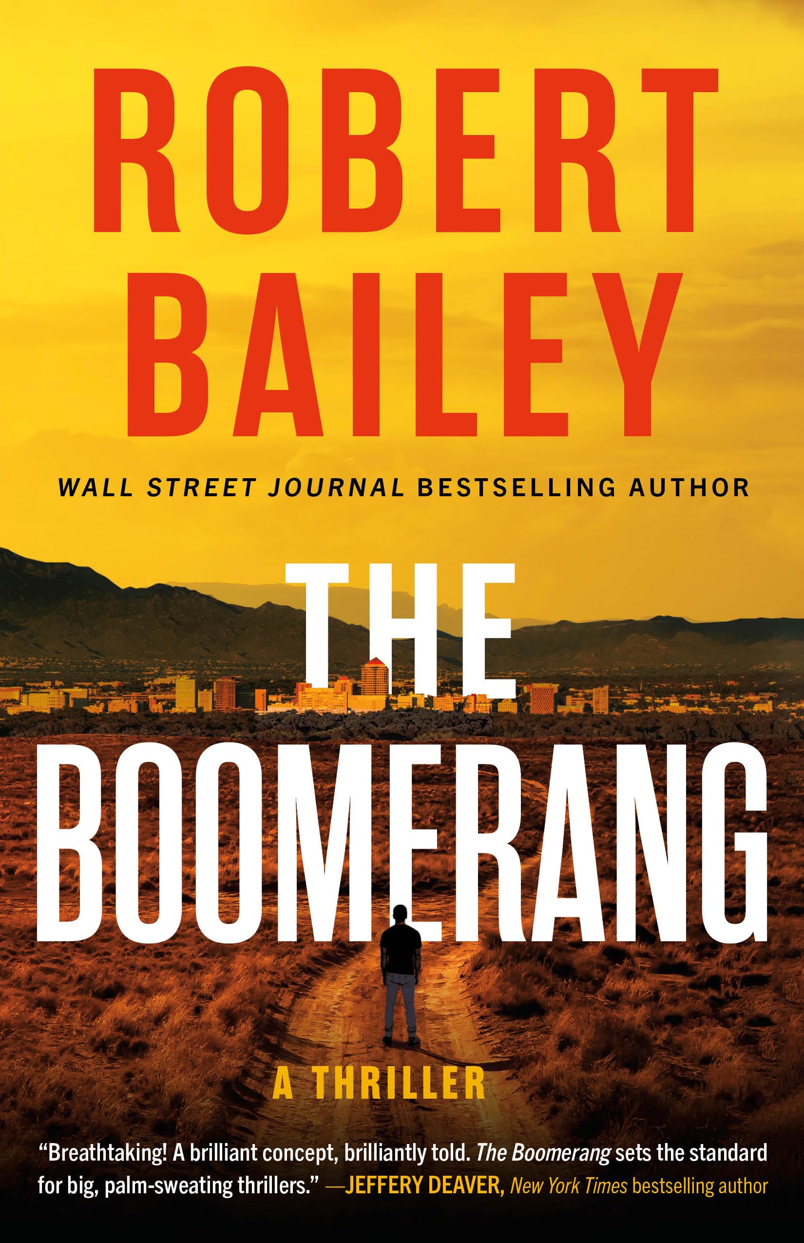 The Boomerang: A Thriller by Bailey, Robert