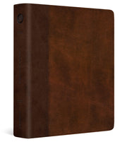 ESV Journaling Bible (Trutone, Brown/Tan, Timeless Design) by