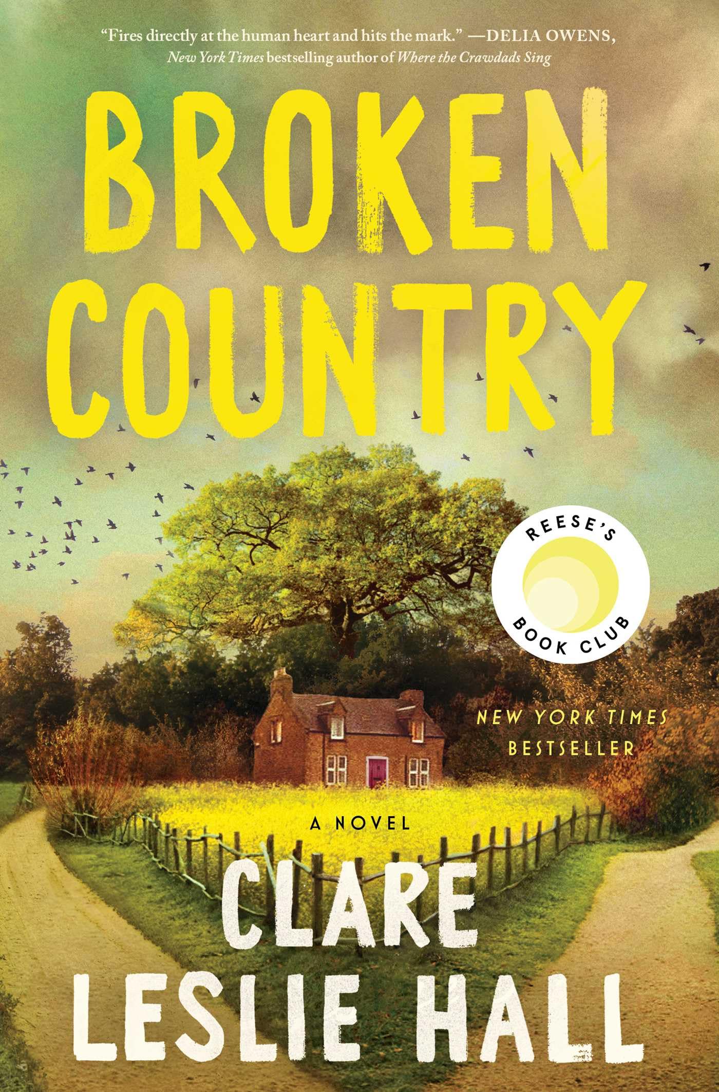 Broken Country by Hall, Clare Leslie
