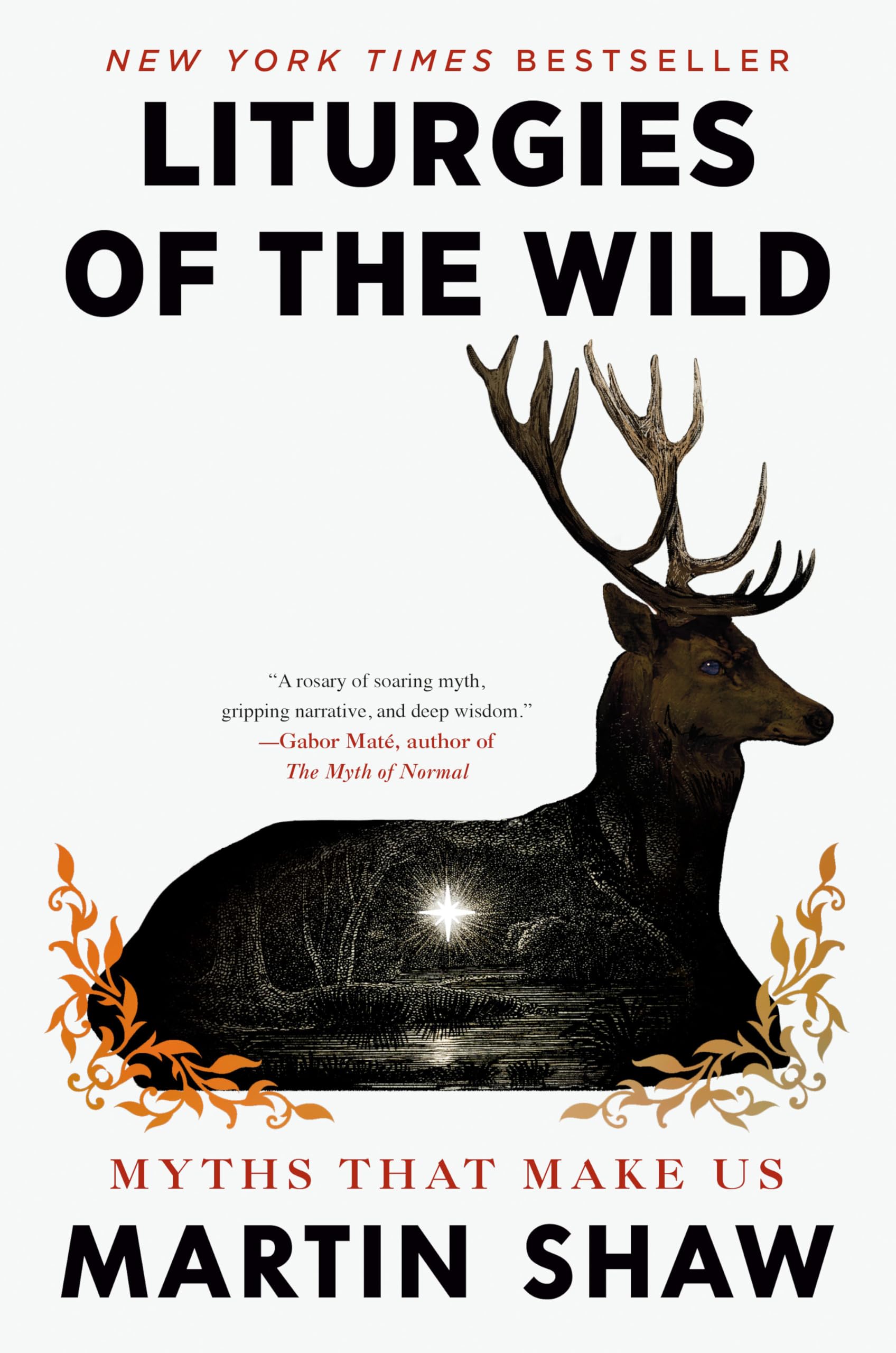 Liturgies of the Wild: Myths That Make Us by Shaw, Martin