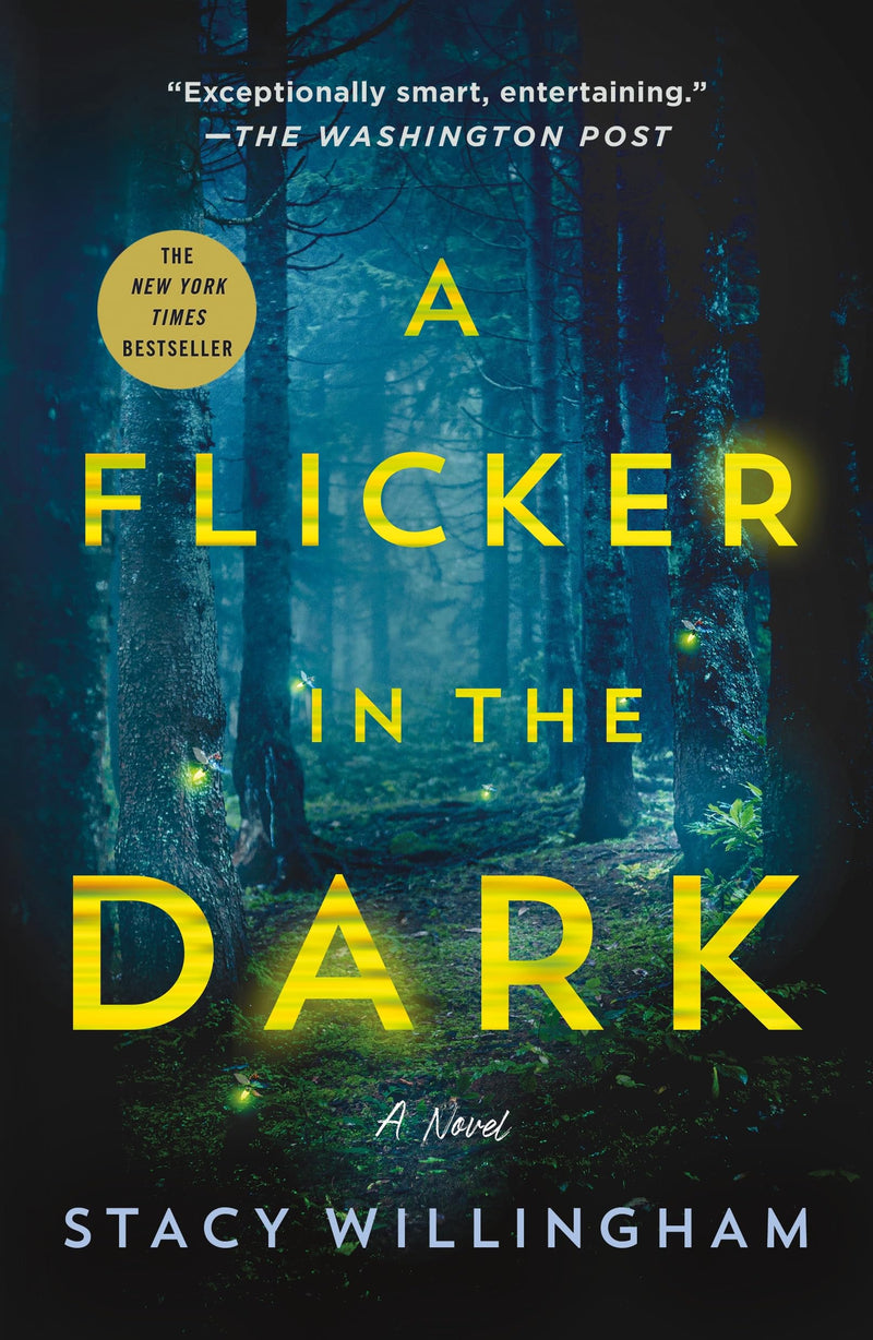 A Flicker in the Dark by Willingham, Stacy