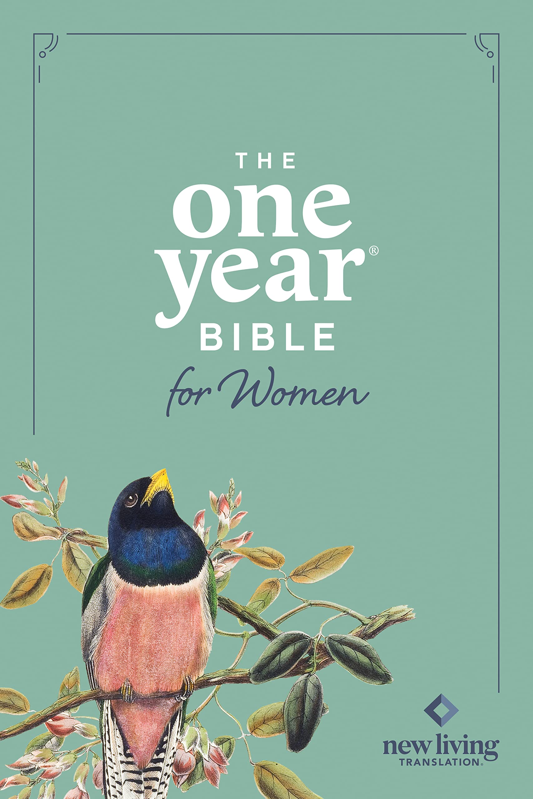 NLT the One Year Bible for Women (Softcover) by Arterburn, Misty