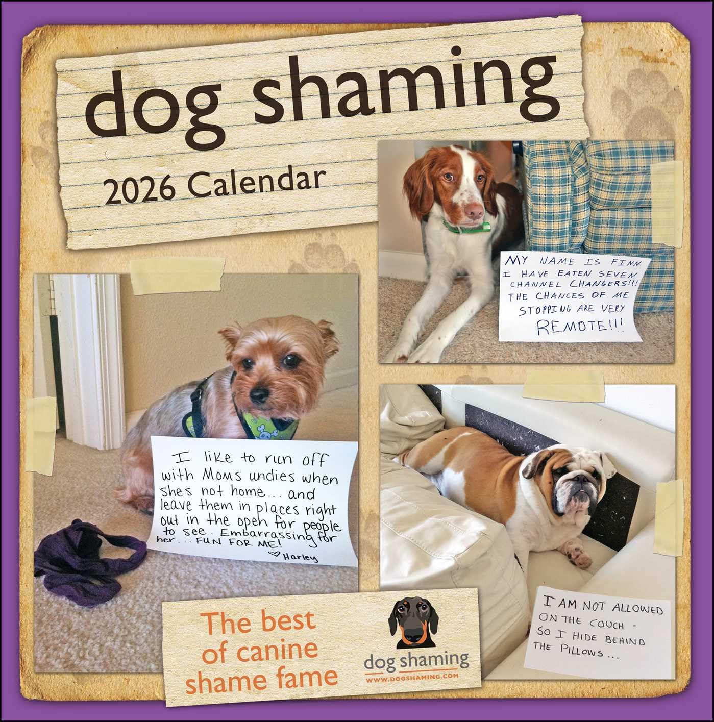 Dog Shaming 2026 Wall Calendar by Lemire, Pascale