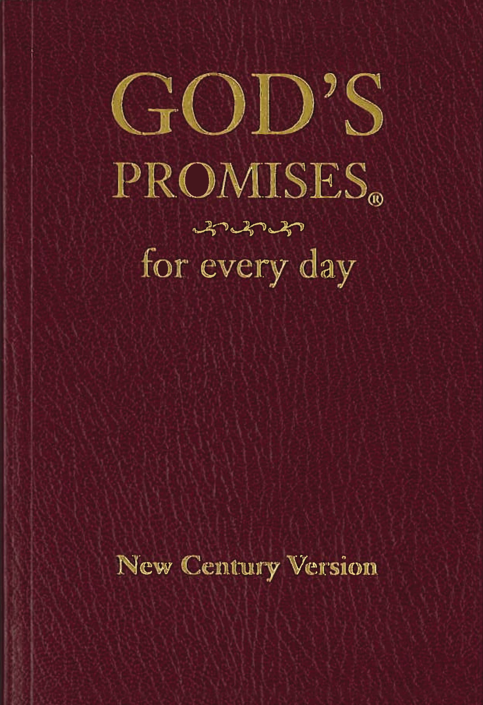 God's Promises for Every Day by Countryman, Jack