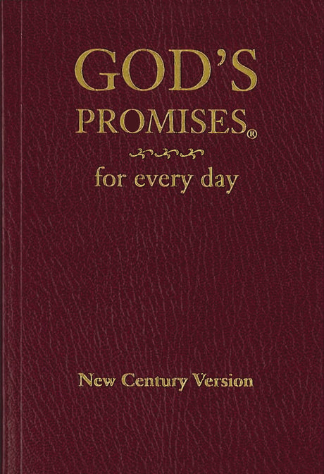 God's Promises for Every Day -- Jack Countryman, Paperback