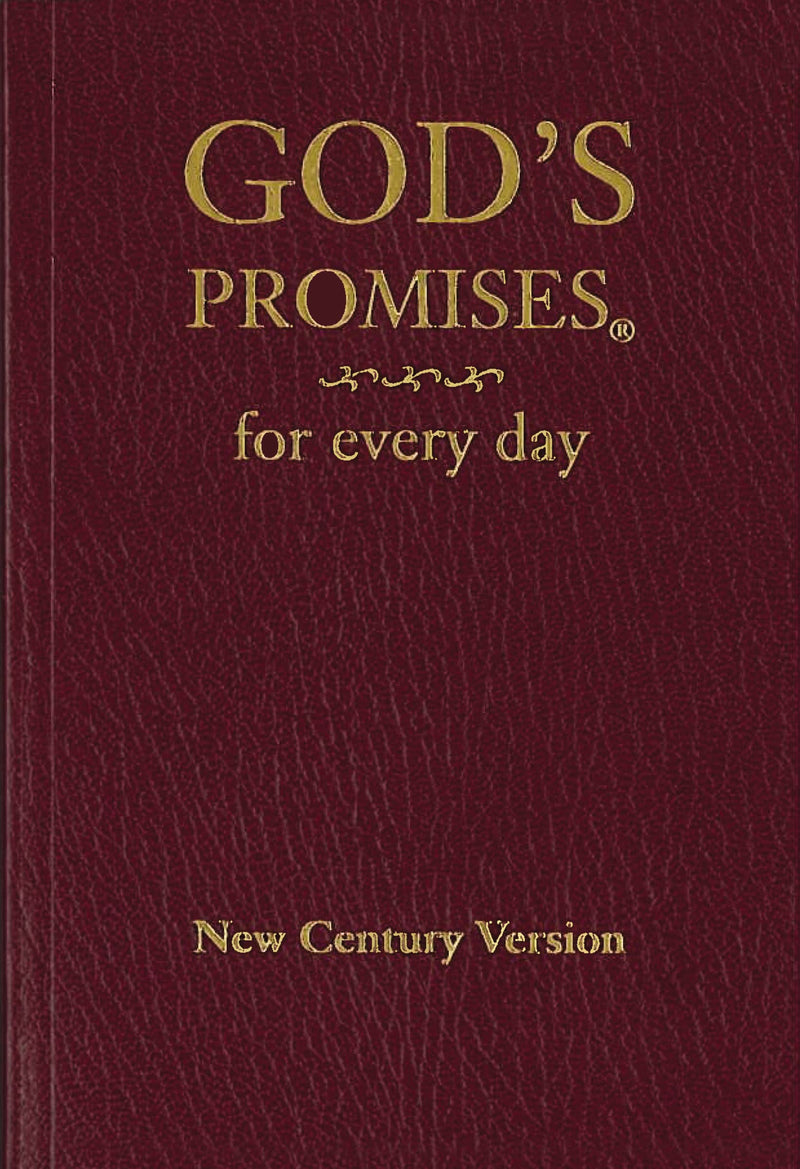 God's Promises for Every Day by Countryman, Jack