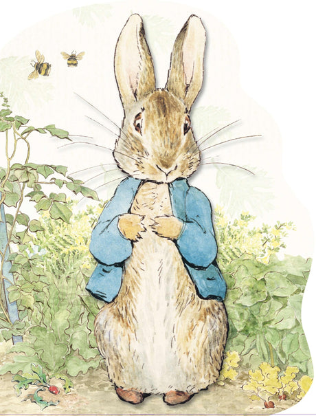 Peter Rabbit -- Beatrix Potter, Board Book