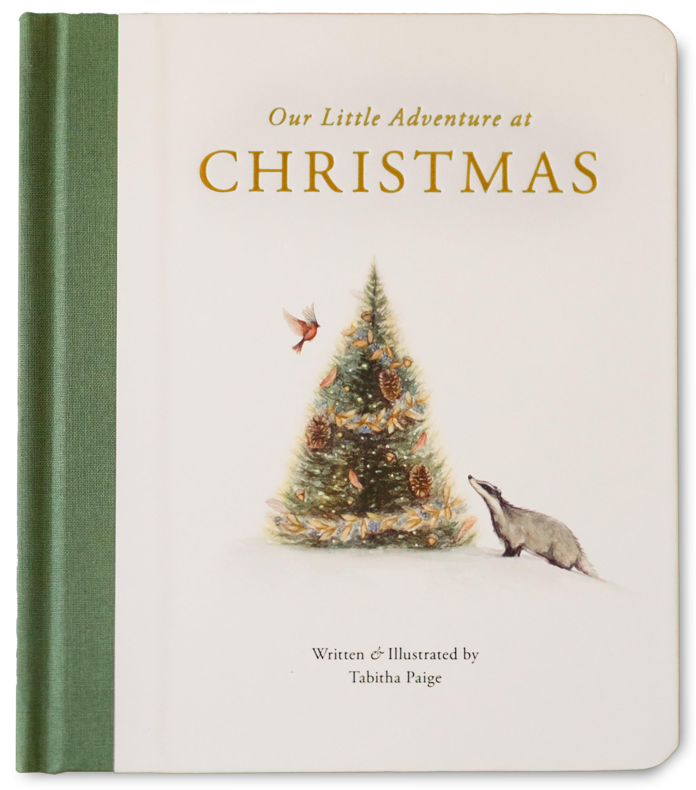 Our Little Adventure at Christmas: Featuring Foundational Language Concepts and Lessons on the Joy of Giving by Paige, Tabitha