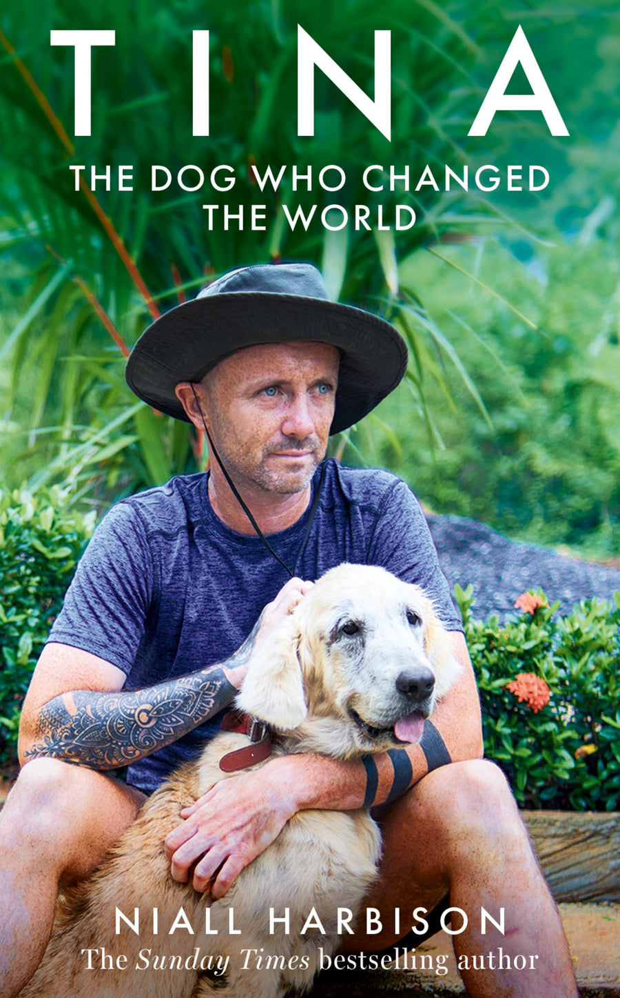 Tina: The Dog Who Changed the World -- Niall Harbison, Hardcover