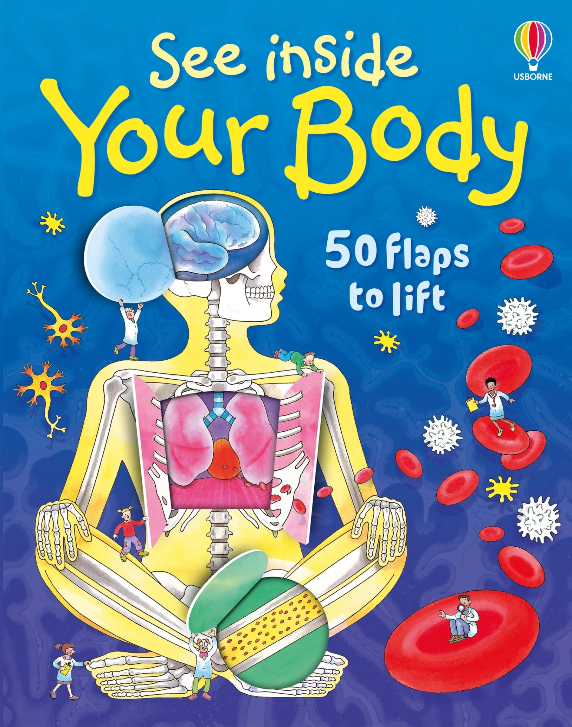 See Inside Your Body by Daynes, Katie