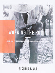Working The Roots: Over 400 Years of Traditional African American Healing by Lee, Michele Elizabeth
