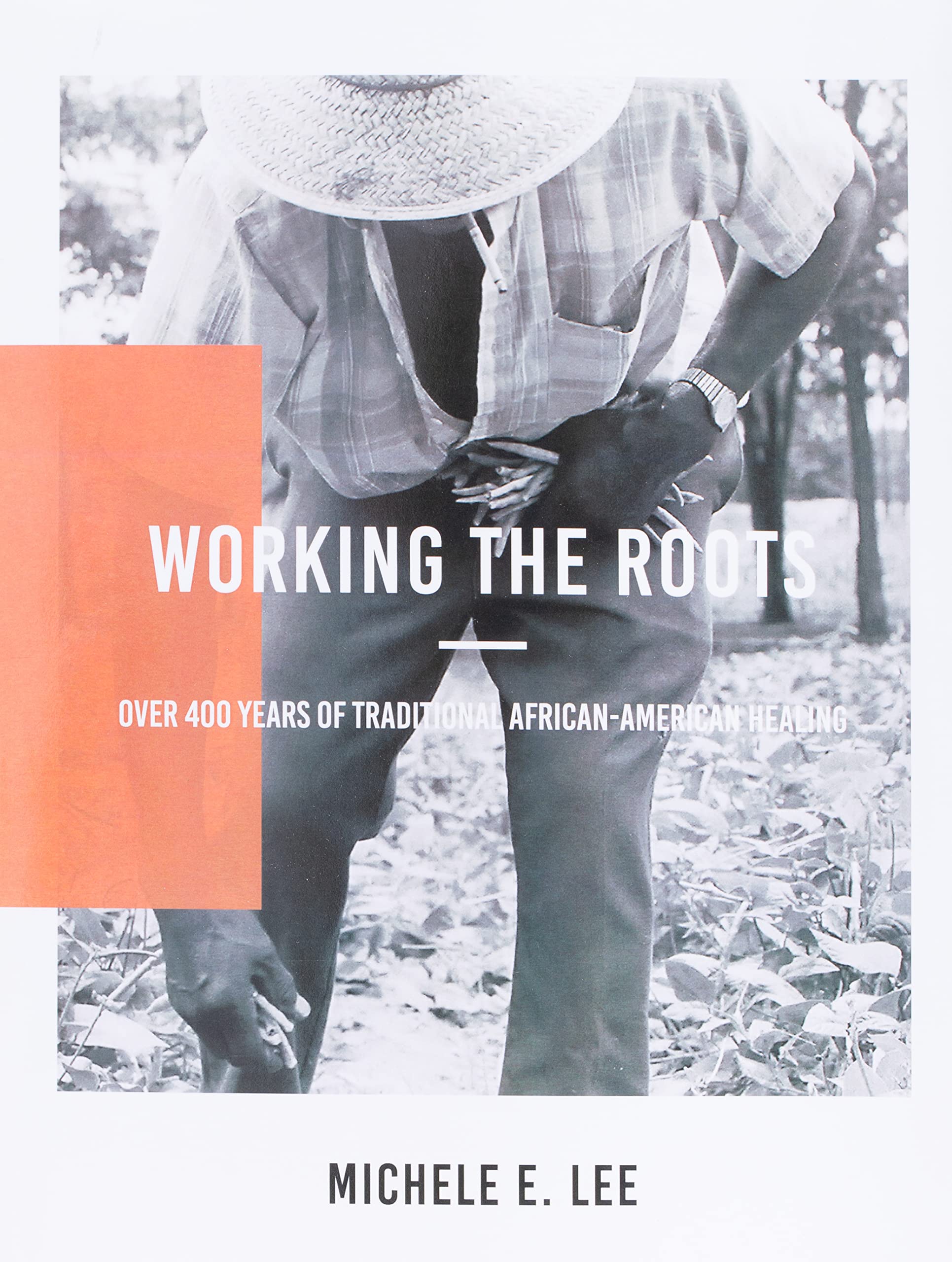 Working The Roots: Over 400 Years of Traditional African American Healing by Lee, Michele Elizabeth