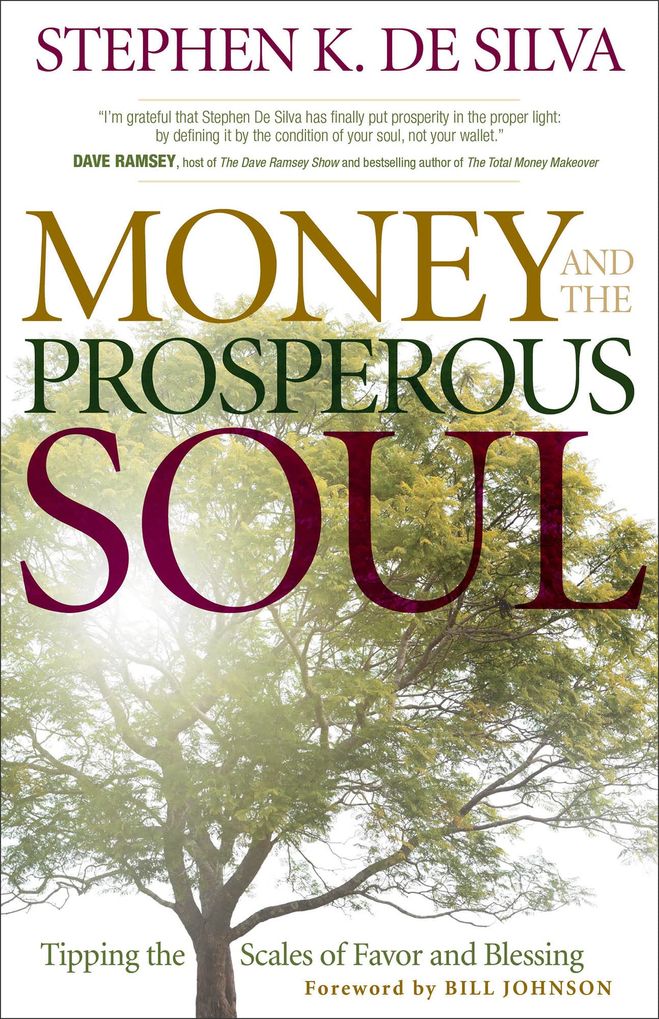 Money and the Prosperous Soul: Tipping the Scales of Favor and Blessing by De Silva, Stephen K.