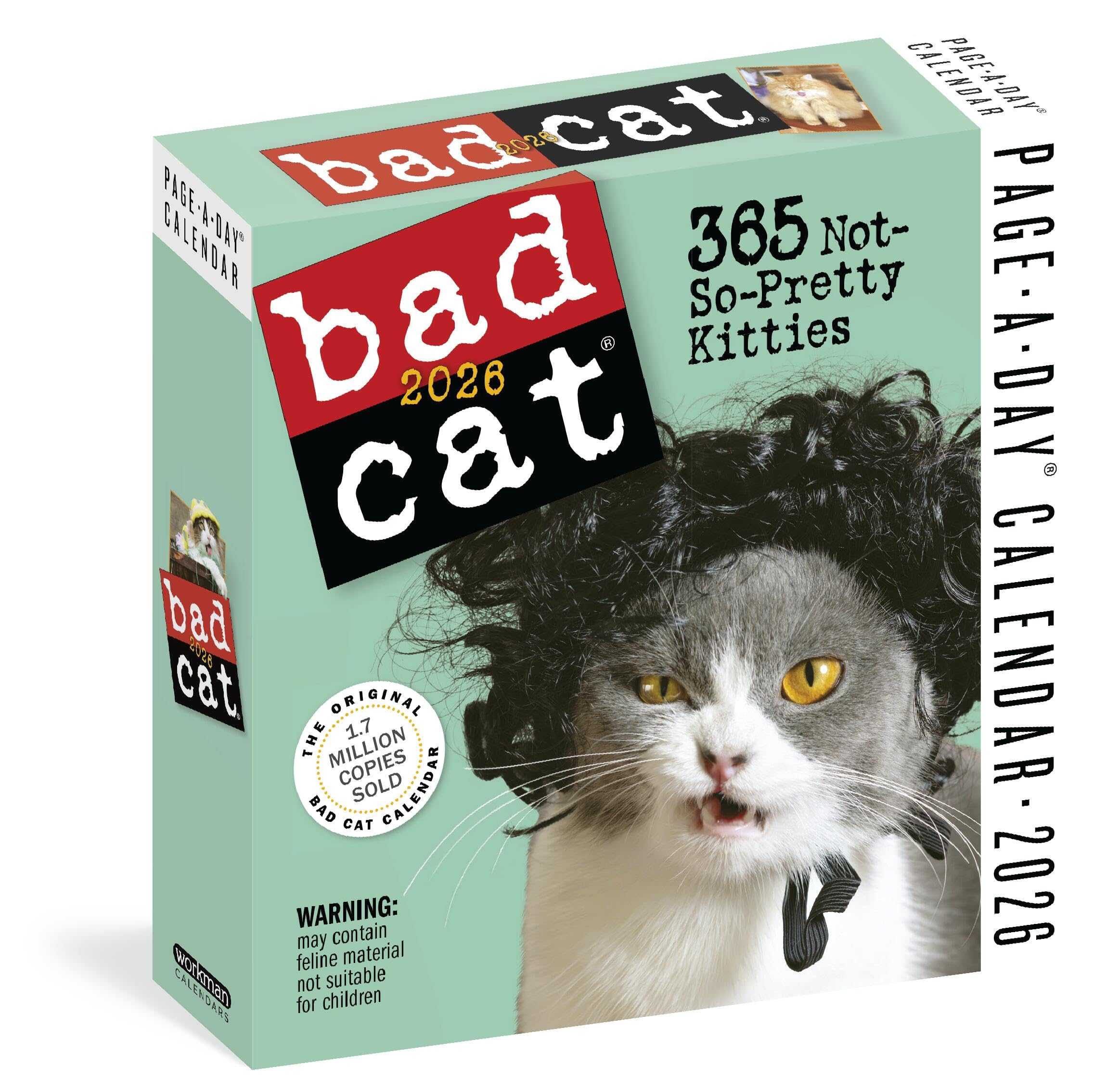 Bad Cat Page-A-Day(r) Calendar 2026: 365 Not-So-Pretty Kitties by Workman Calendars