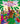 The Beginner's Bible the Very First Easter: An Easter Book for Kids by The Beginner's Bible