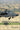Crazyhorse: Flying Apache Attack Helicopters with the 1st Cavalry Division in Iraq, 2006-2007 by McClinton, Daniel M.