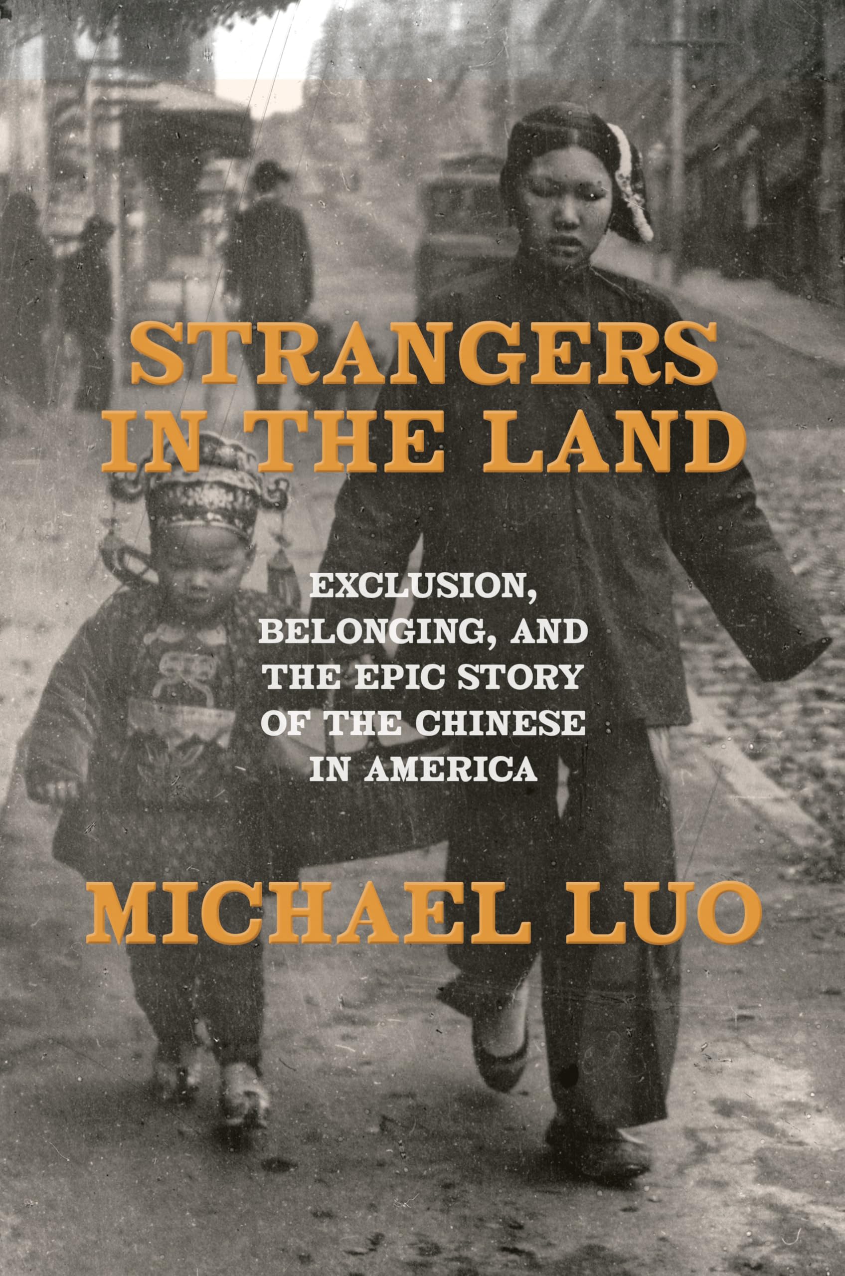 Strangers in the Land: Exclusion, Belonging, and the Epic Story of the Chinese in America by Luo, Michael
