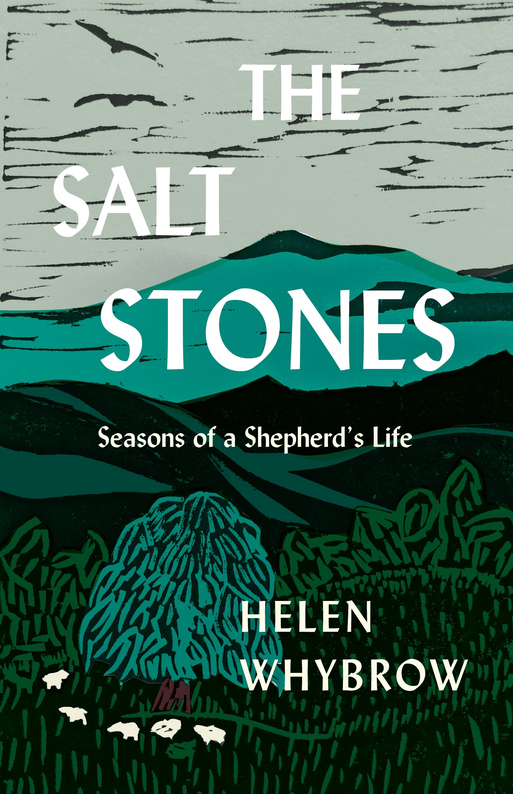 The Salt Stones: Seasons of a Shepherd's Life by Whybrow, Helen