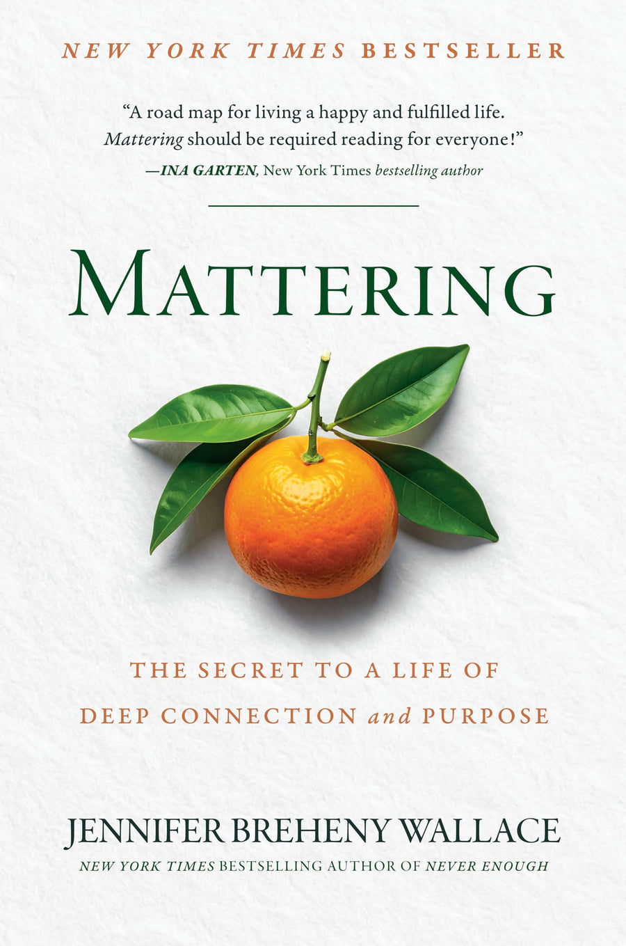 Mattering: The Secret to a Life of Deep Connection and Purpose -- Jennifer Breheny Wallace, Hardcover